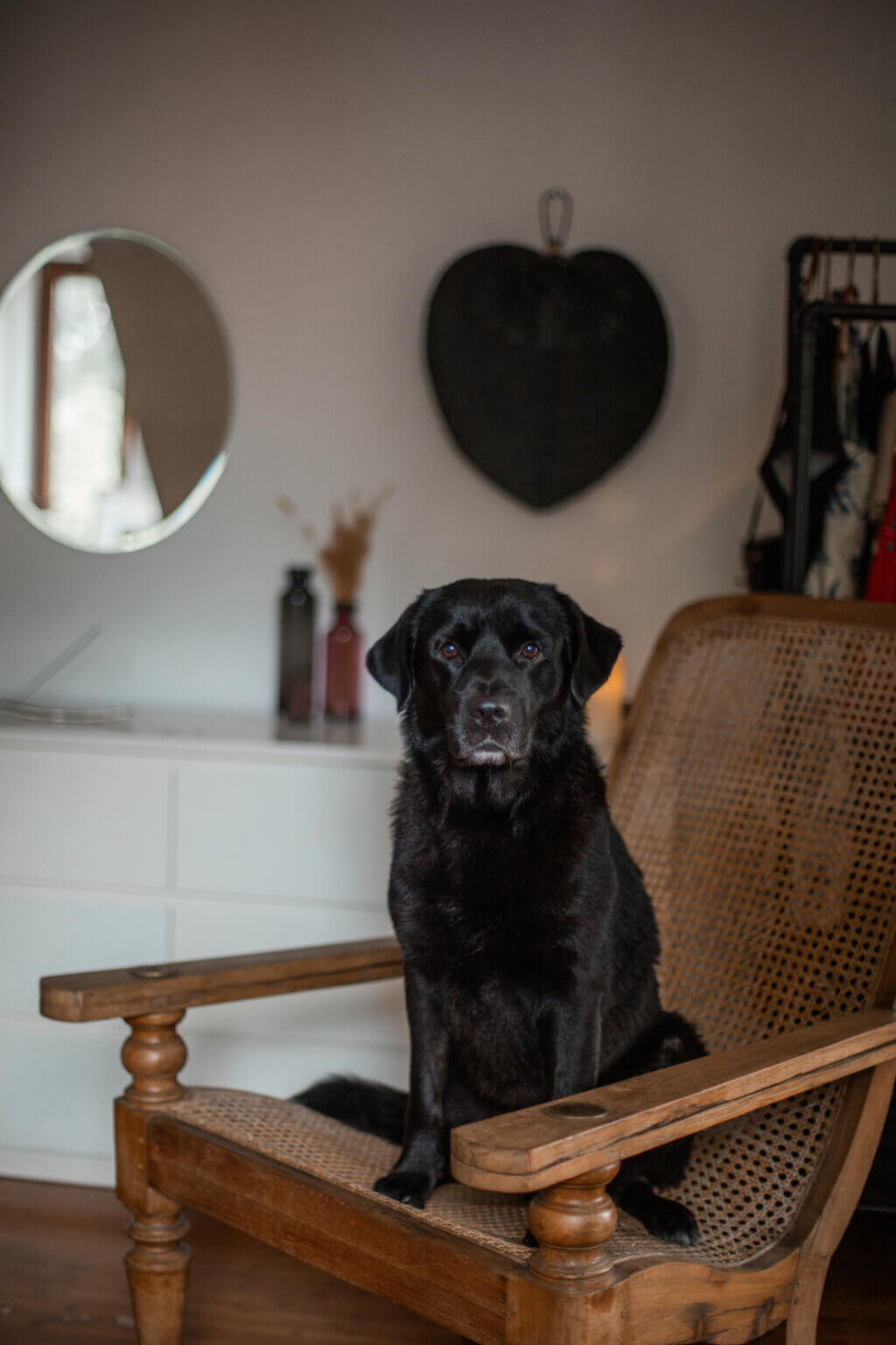 18aa0e2426b5bc9df45f67a3d9bbda13cd4a9530